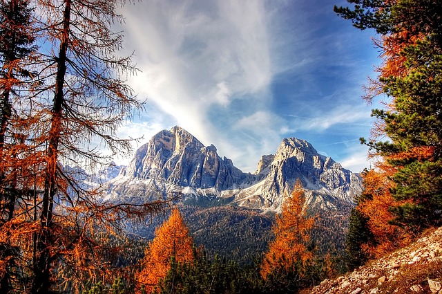 Montagnes au sommet enneigés avec des arbres au premier plan